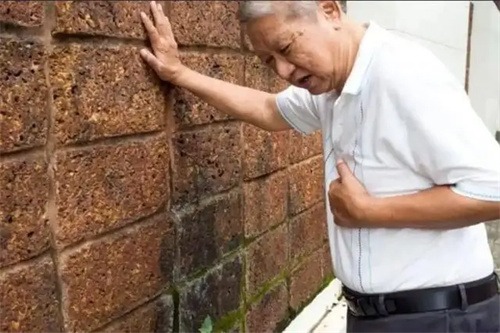 图片细节